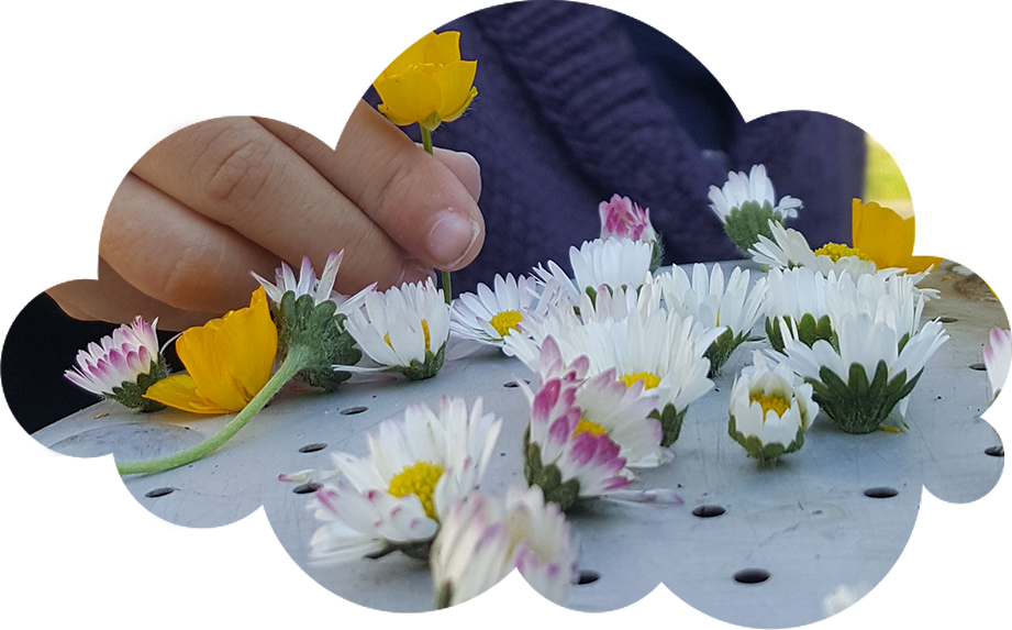 Notre-projet-pedagogique-des-creches